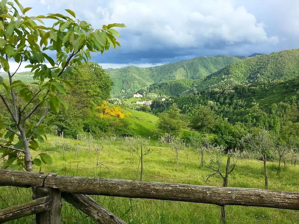 Agriturismo Selvapiana Cantagallo Vakantieboerderij
